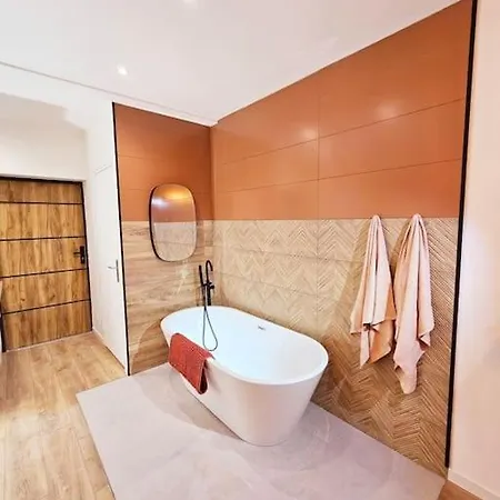 Appartement Parentale Avec Parking Albi