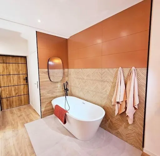 Appartement Parentale Avec Parking Albi