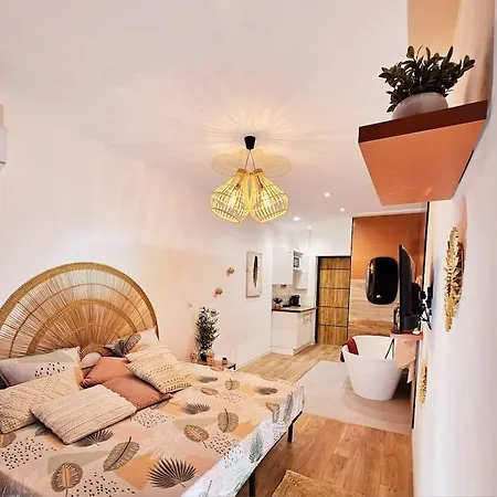 Apartment Parentale Avec Parking *